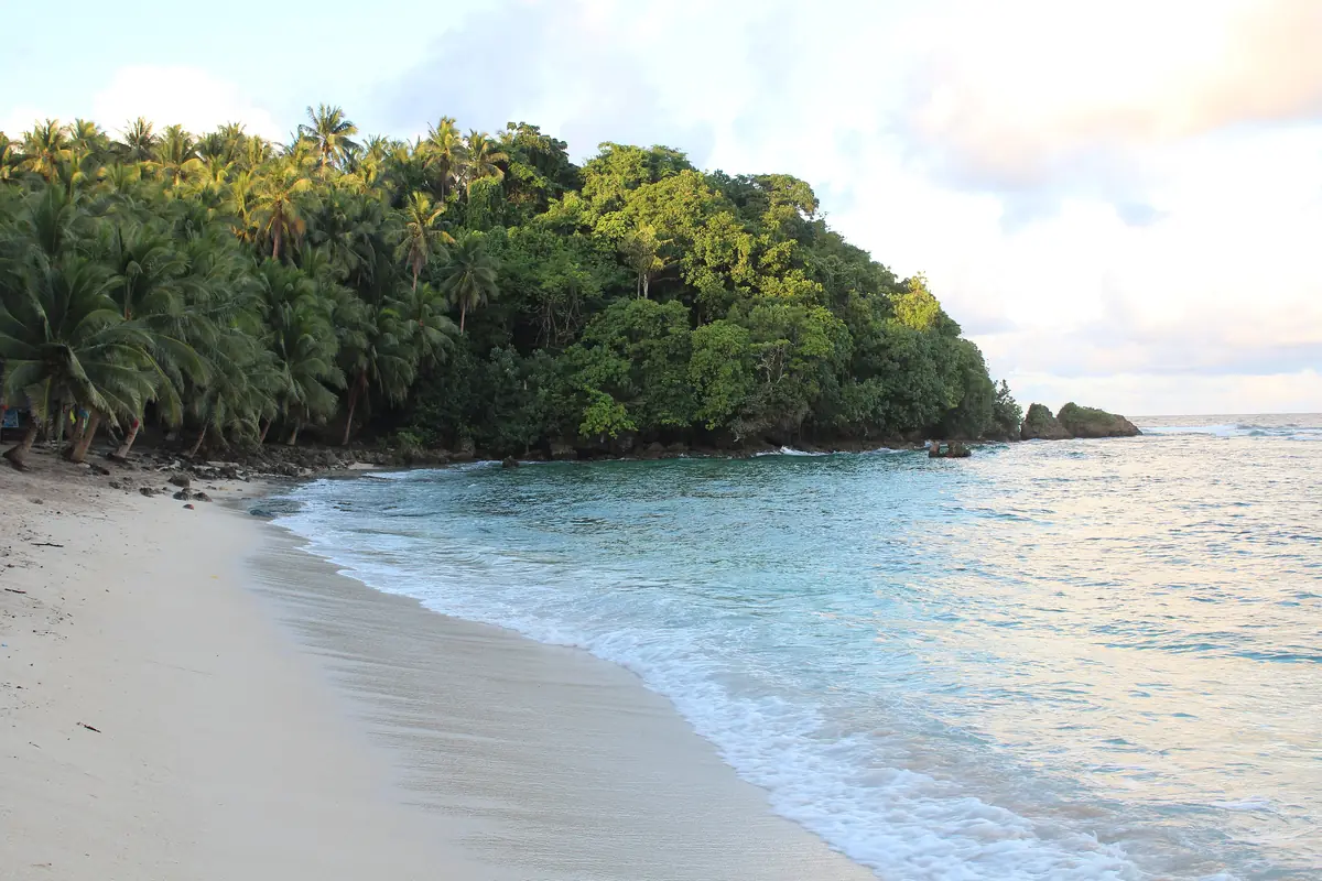 Soft waves on the sandy shore of Magpupungko Beach, Pilar, framed by jungle