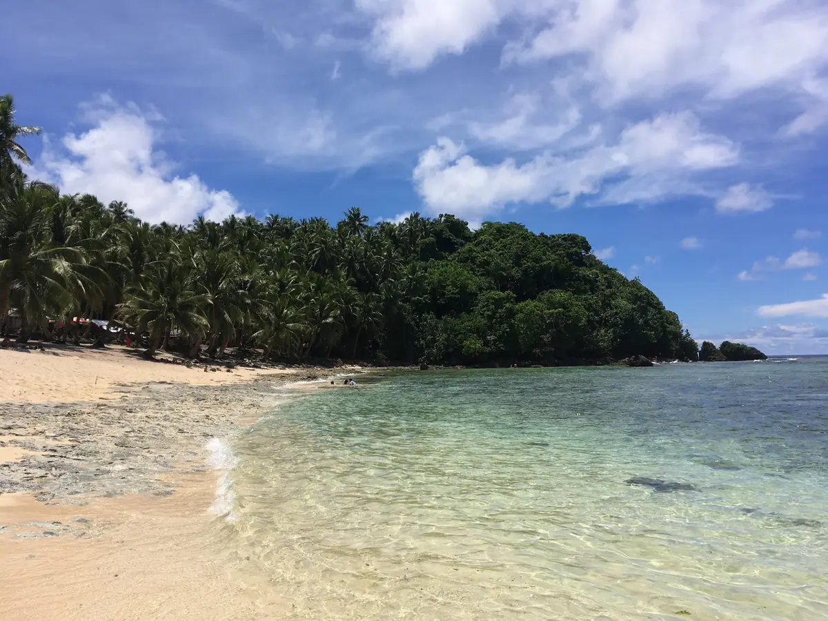 Clear, shallow water lapping a quiet palm-lined beach in Siargao